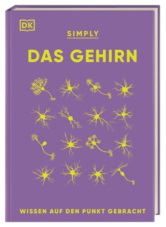 Produktbild: SIMPLY. Das Gehirn