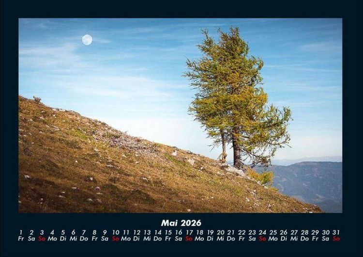 Produktbild: B&auml;ume 2026 Fotokalender DIN A4