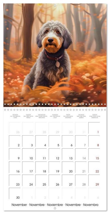 Produktbild: Aussiedoodle - Dogs to love (Wall Calendar 2026 12 &times; 12 Inch) CALVENDO 12 Month Wall Calendar