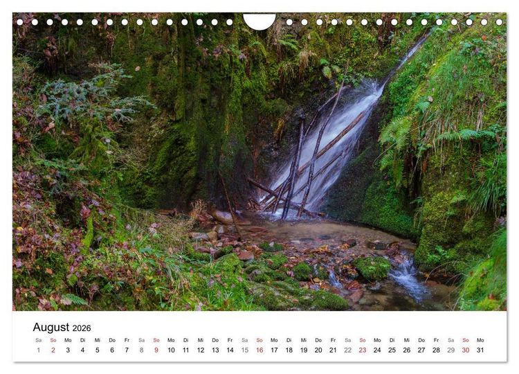 Produktbild: Naturerlebnis Nordschwarzwald (Wandkalender 2026 DIN A4 quer), CALVENDO Monatskalender