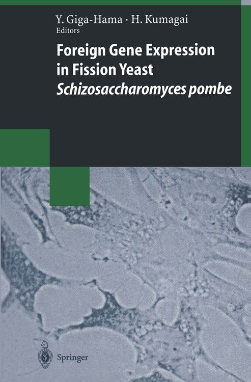 Produktbild: Foreign Gene Expression in Fission Yeast: Schizosaccharomyces pombe