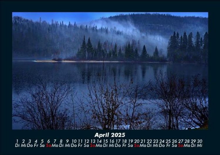 Produktbild: B&auml;ume 2025 Fotokalender DIN A5