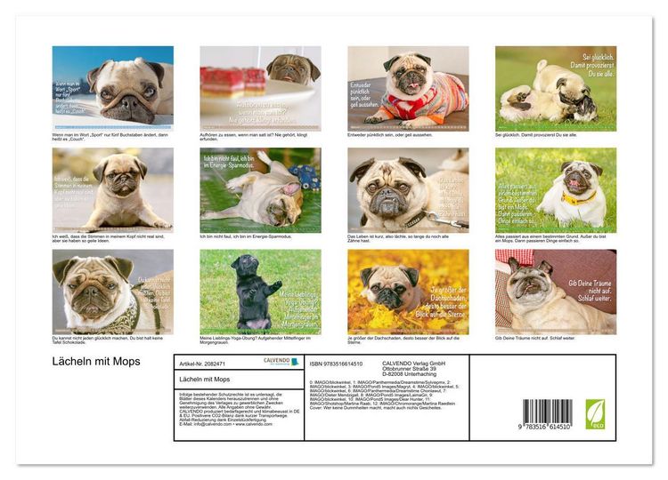 Produktbild: L&auml;cheln mit Mops (Wandkalender 2026 DIN A3 quer), CALVENDO Monatskalender
