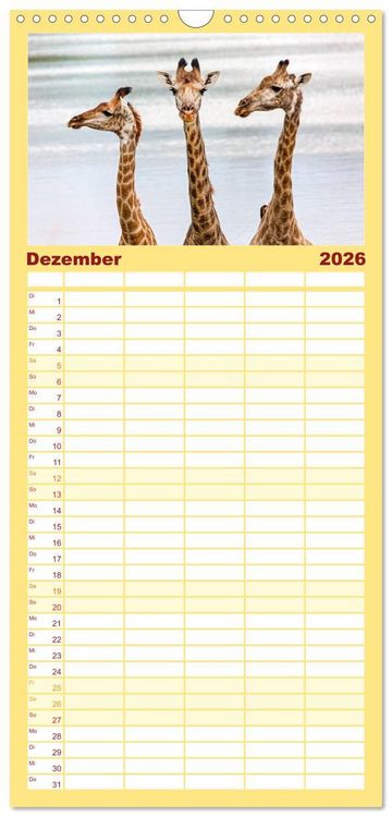 Produktbild: Familienplaner 2026 - Afrikas Tierwelt: Giraffen mit 5 Spalten (Wandkalender, 21 x 45 cm) CALVENDO