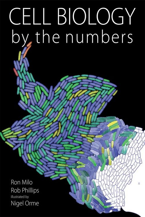 Produktbild: Cell Biology by the Numbers