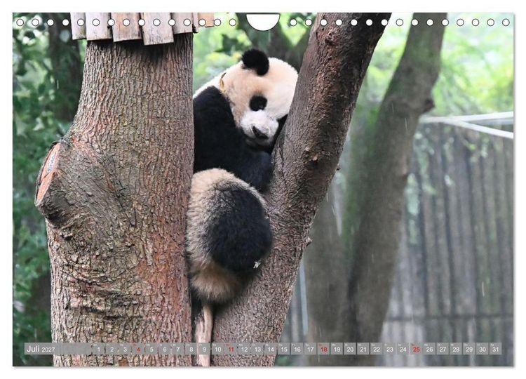 Produktbild: Erlebnis China (Wandkalender 2027 DIN A4 quer), CALVENDO Monatskalender