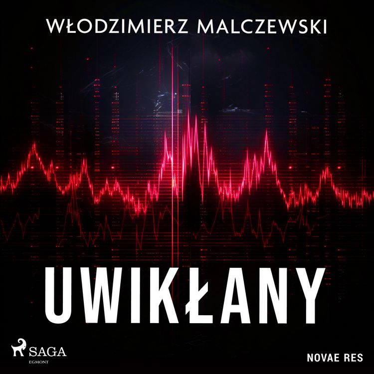 Produktbild: Uwikłany