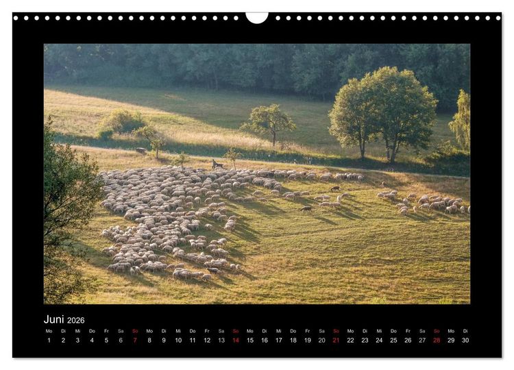 Produktbild: Taunus (Wandkalender 2026 DIN A3 quer), CALVENDO Monatskalender
