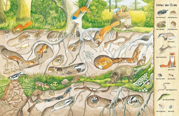 Produktbild: Mein erstes Wimmelbuch: Im Wald