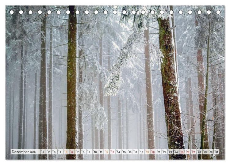 Produktbild: Wald - mystische Spazierg&auml;nge (Tischkalender 2026 DIN A5 quer), CALVENDO Monatskalender