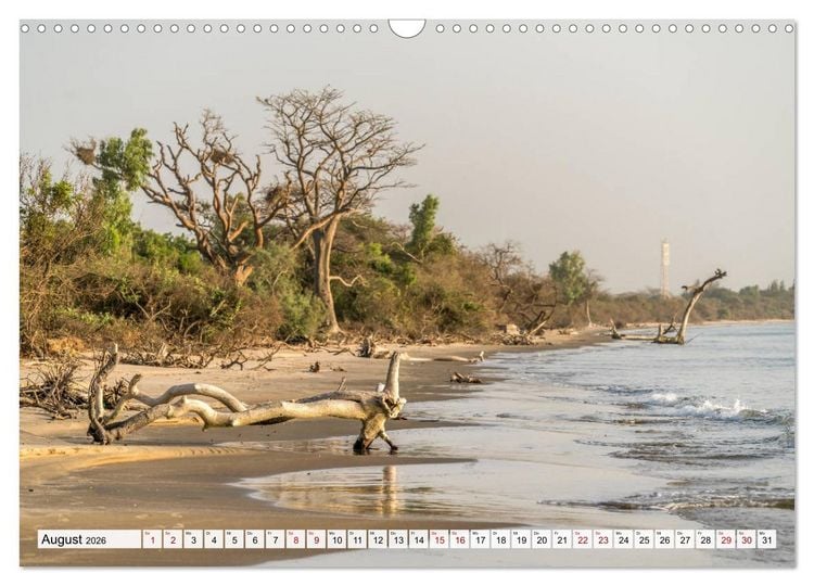 Produktbild: Traumstr&auml;nde in Gambia (Wandkalender 2026 DIN A3 quer), CALVENDO Monatskalender