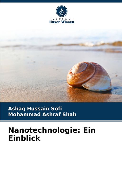 Produktbild: Nanotechnologie: Ein Einblick