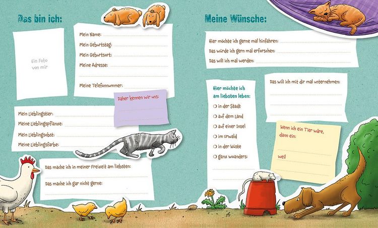 Produktbild: Die Gr&uuml;nen Piraten &ndash; Meine Freunde