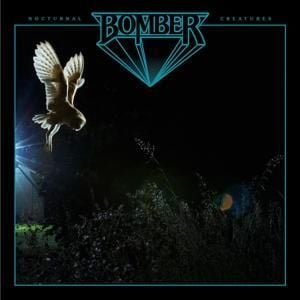 Produktbild: Nocturnal Creatures ( Jewel Case )