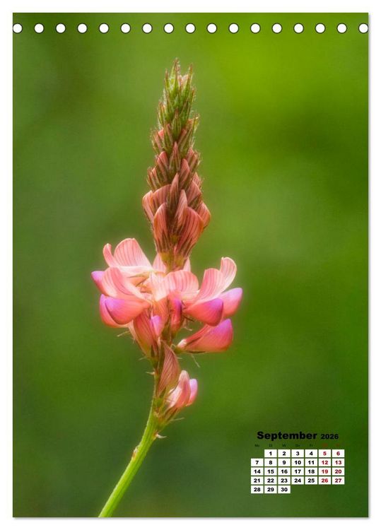 Produktbild: Spa&szlig; mit bunten Bl&uuml;mchen (Tischkalender 2026 DIN A5 hoch), CALVENDO Monatskalender