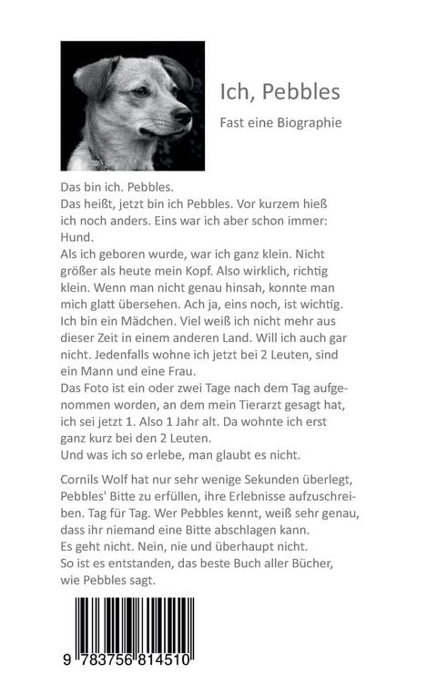 Produktbild: Ich, Pebbles