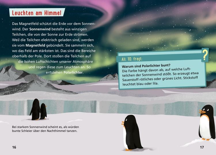 Produktbild: Pixi Wissen 120: Arktis und Antarktis