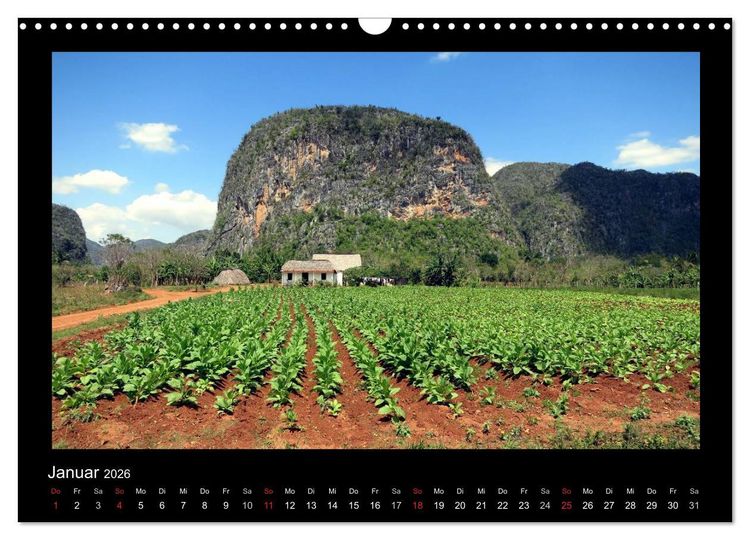 Produktbild: Viva Cuba! (Wandkalender 2026 DIN A3 quer), CALVENDO Monatskalender
