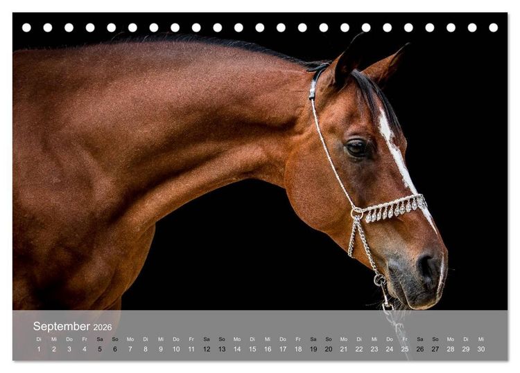 Produktbild: Pferde - Anmut und St&auml;rke gepaart mit Magie (Tischkalender 2026 DIN A5 quer), CALVENDO Monatskalender