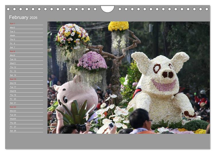 Produktbild: Philippines Colorful Life (Wall Calendar 2026 DIN A4 landscape), CALVENDO 12 Month Wall Calendar
