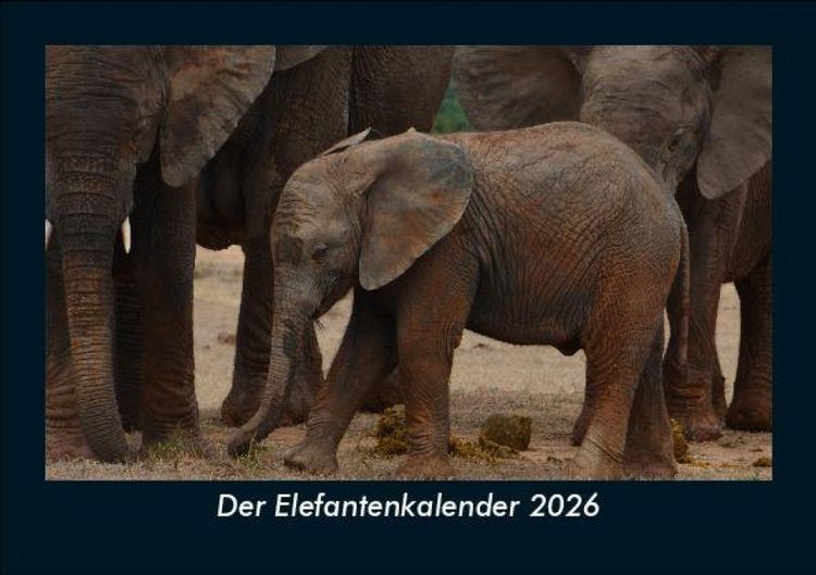 Produktbild: Der Elefantenkalender 2026 Fotokalender DIN A5