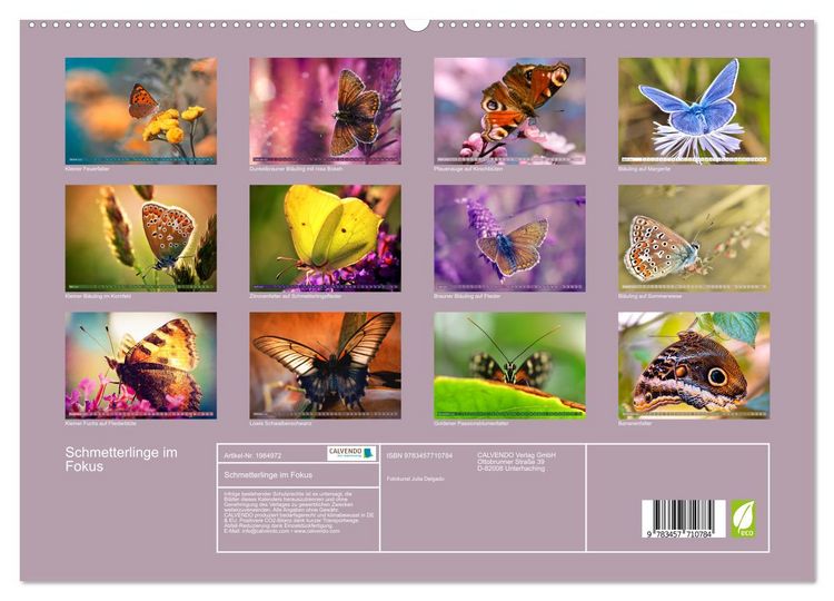 Produktbild: Schmetterlinge im Fokus (hochwertiger Premium Wandkalender 2026 DIN A2 quer), Kunstdruck in Hochglanz