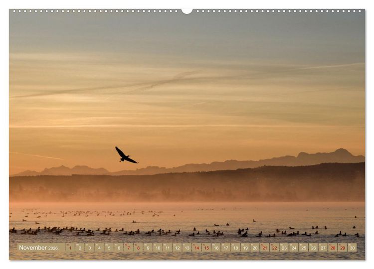 Produktbild: Zauberhafter Westlicher Bodensee (Wandkalender 2026 DIN A2 quer), CALVENDO Monatskalender