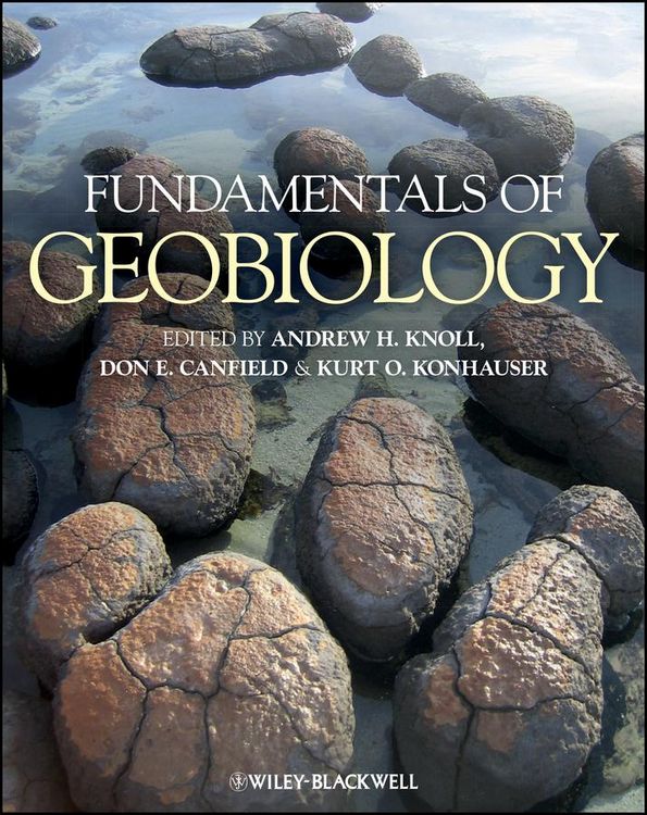 Produktbild: Fundamentals of Geobiology