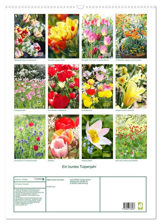 Produktbild: Ein buntes Tulpenjahr (Wandkalender 2026 DIN A2 hoch), CALVENDO Monatskalender