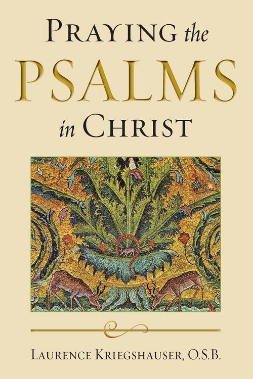 Produktbild: Praying the Psalms in Christ
