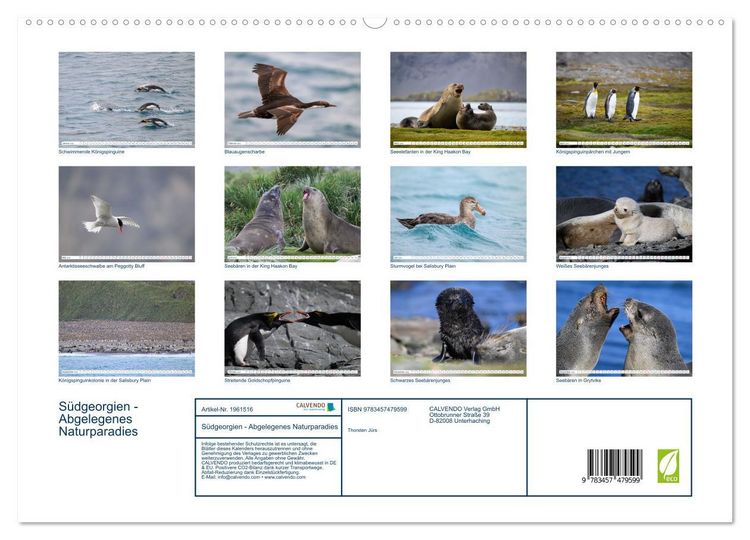 Produktbild: S&uuml;dgeorgien - Abgelegenes Naturparadies (hochwertiger Premium Wandkalender 2026 DIN A2 quer), Kunstdruck in Hochglanz