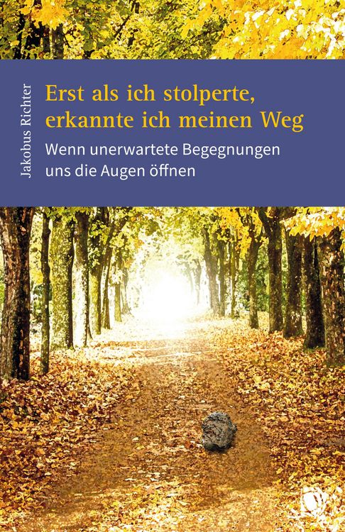 Produktbild: Erst als ich stolperte, erkannte ich meinen Weg