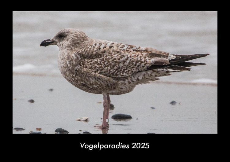 Produktbild: Vogelparadies 2025 Fotokalender DIN A3