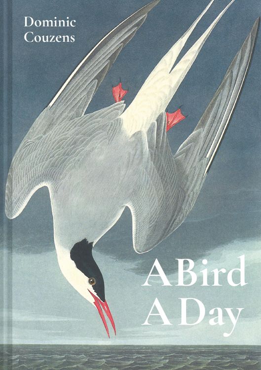 Produktbild: A Bird A Day