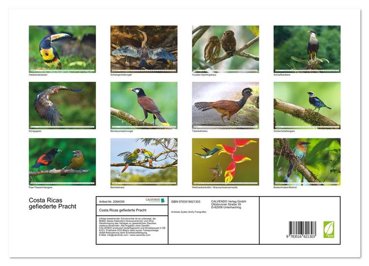 Produktbild: Costa Ricas gefiederte Pracht (Wandkalender 2026 DIN A3 quer), CALVENDO Monatskalender