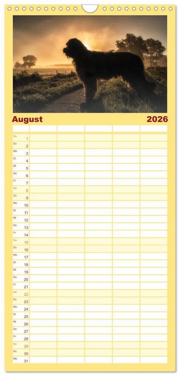 Produktbild: Familienplaner 2026 - Der Briard - Ein echter Charmeur mit 5 Spalten (Wandkalender, 21 x 45 cm) CALVENDO