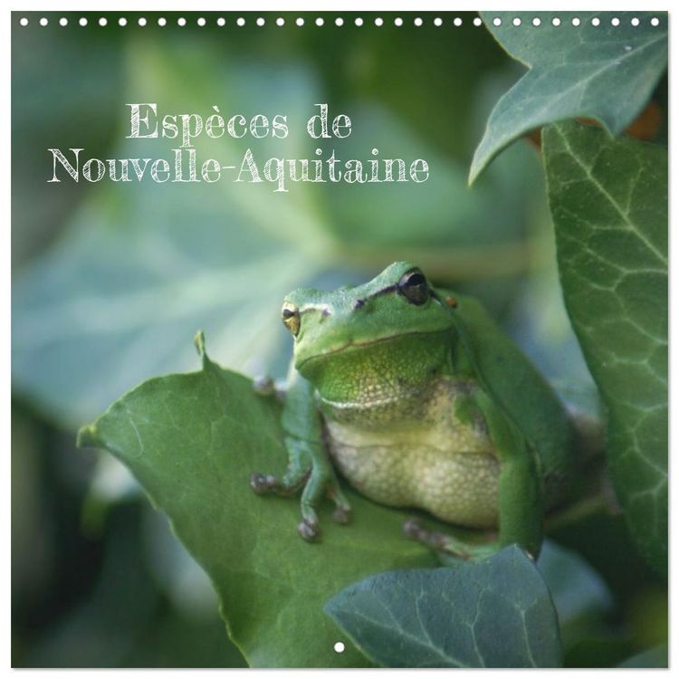 Produktbild: Blt, S: Esp&egrave;ces de Nouvelle Aquitaine (Calendrier mural carr