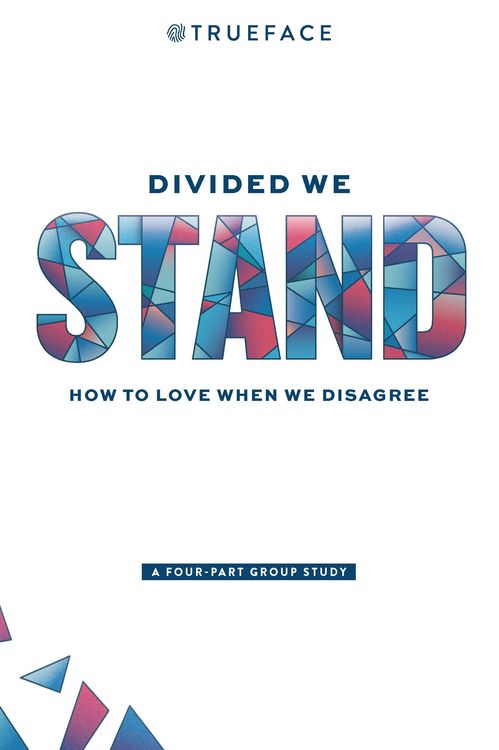 Produktbild: Divided We Stand