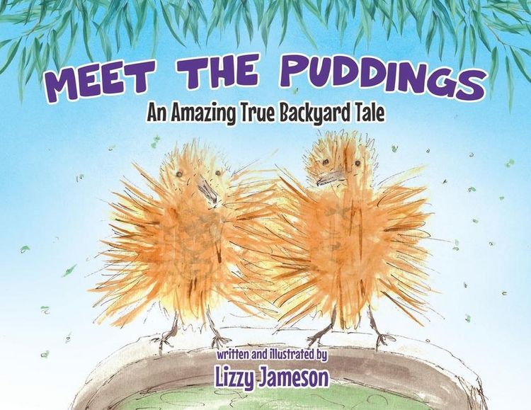 Produktbild: Meet the Puddings