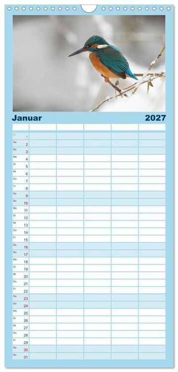 Produktbild: Familienplaner 2027 - Alcedo atthis. Der Eisvogel mit 5 Spalten (Wandkalender, 21 x 45 cm) CALVENDO
