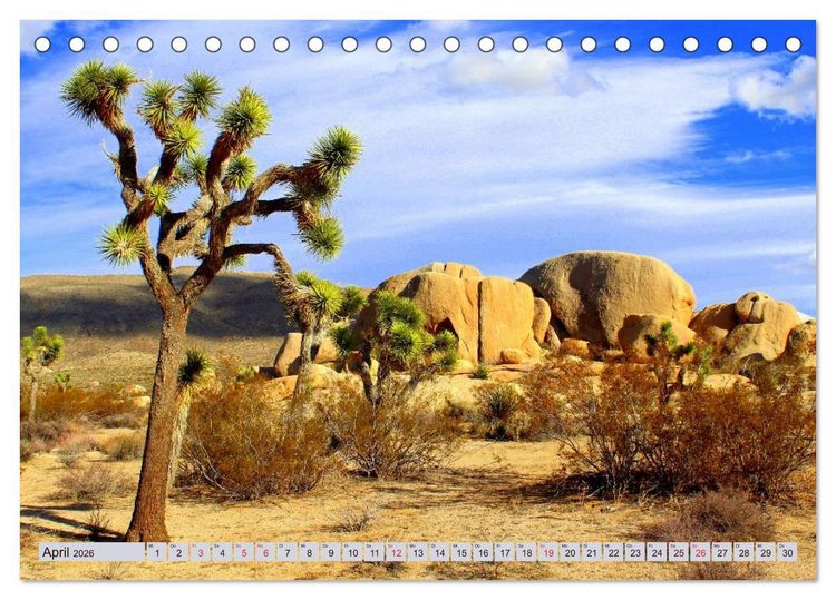 Produktbild: Der S&uuml;dwesten der USA. Freiheit und Weite (Tischkalender 2026 DIN A5 quer), CALVENDO Monatskalender