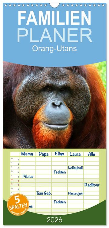 Produktbild: Familienplaner 2026 - Orang-Utans mit 5 Spalten (Wandkalender, 21 x 45 cm) CALVENDO