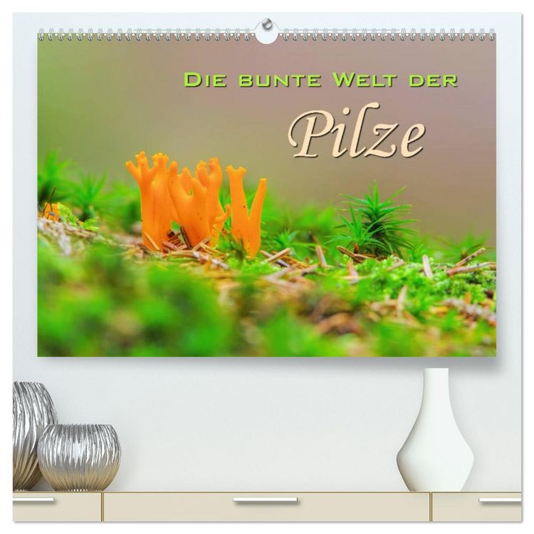 Produktbild: Die bunte Welt der Pilze (hochwertiger Premium Wandkalender 2026 DIN A2 quer), Kunstdruck in Hochglanz