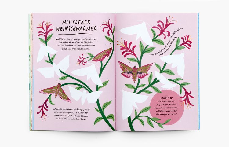 Produktbild: Zeichne wie die Natur: Farben