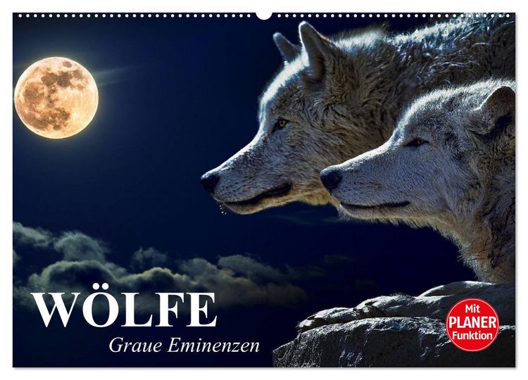 Produktbild: W&ouml;lfe. Graue Eminenzen (Wandkalender 2026 DIN A2 quer), CALVENDO Monatskalender