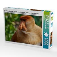 Produktbild: CALVENDO Puzzle Das Alpha-M&auml;nnchen hat mit seiner Riesennase die besten Chancen bei den Weibchen 1000 Teile Lege-Gr&ouml;&szlig;e 64 x 48 cm Foto-Puzzle Bild von Arne W&uuml;nsche