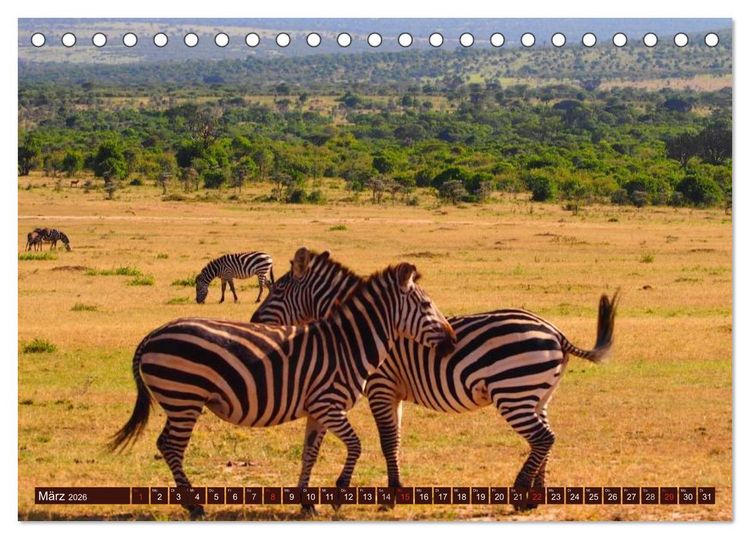 Produktbild: Afrika. Zauber des schwarzen Kontinents (Tischkalender 2026 DIN A5 quer), CALVENDO Monatskalender