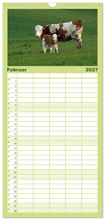 Produktbild: Familienplaner 2027 - Muuuhhh! mit 5 Spalten (Wandkalender, 21 x 45 cm) CALVENDO