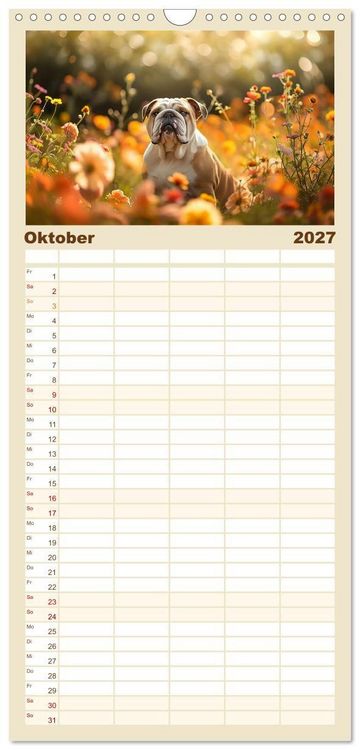 Produktbild: Familienplaner 2027 - Englische Bulldoggen im Bl&uuml;tenmeer mit 5 Spalten (Wandkalender, 21 x 45 cm) CALVENDO