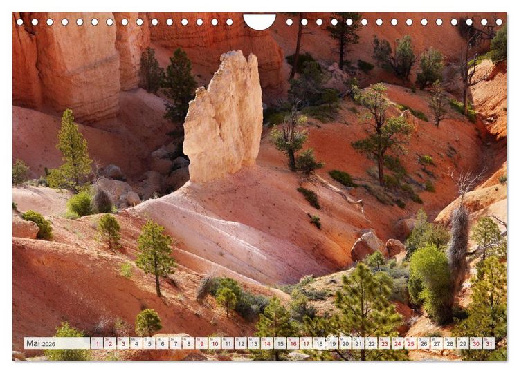 Produktbild: Bryce Canyon, Wunder der Natur (Wandkalender 2026 DIN A4 quer), CALVENDO Monatskalender